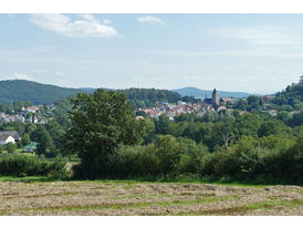 75 Jahre Wachsstockfest an der Weingartenkapelle in Naumburg (Foto: Karl-Franz Thiede)